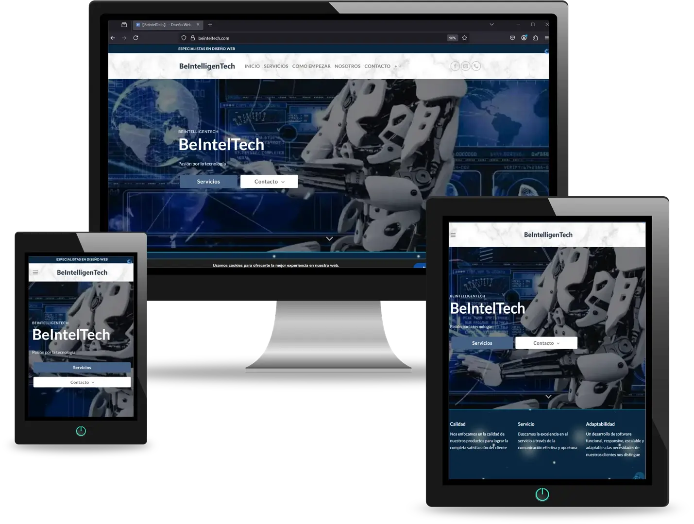 Diseño de Páginas Web en Monterrey, Nuevo León, México 4