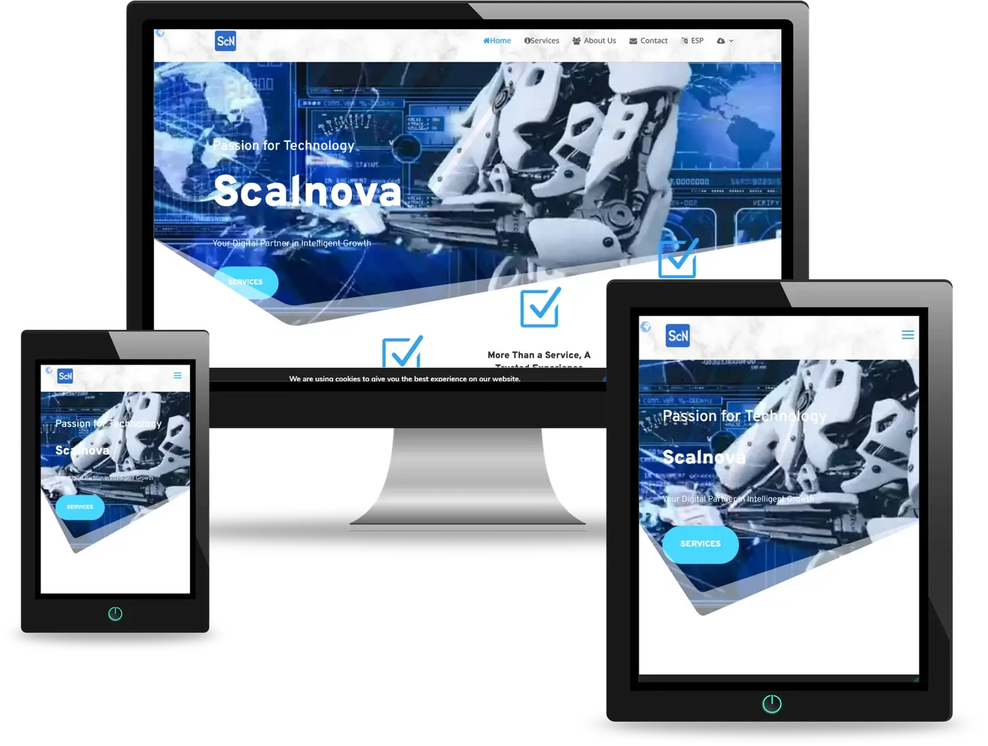 Diseño de Páginas Web en Monterrey, Nuevo León, México 4